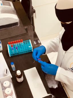 Hematology – Complete Blood Count (CBC)