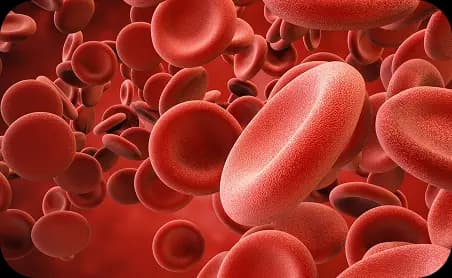 Hematology blood tests