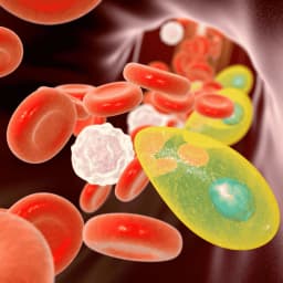 Parasitology