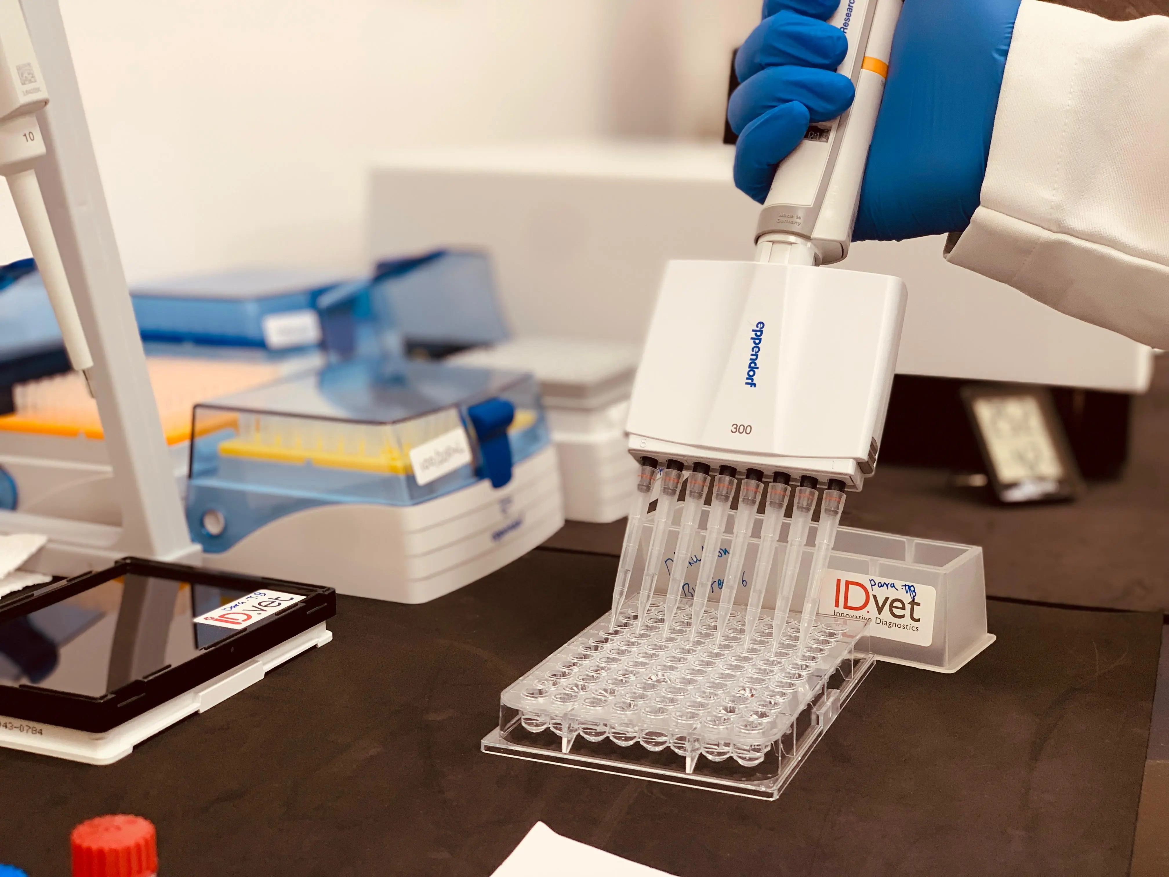 اختبار السل الكاذب (ELISA)